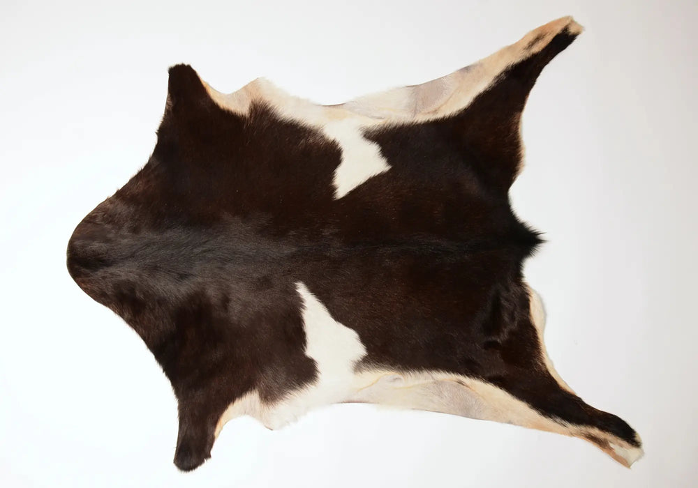 Goatskin rug dark chocolate brown and white #45